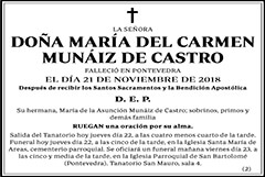 María del Carmen Muñáiz de Castro